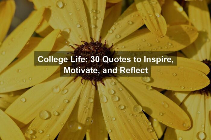 gf4b509ead5a109dd1440e5607eaf274786946329fb9eef28ba2bc405e1def275fd1a03d2174cc235da9747309afa3e38666cebe7713715ad1aa67b795da989a3 1280 - College Life: 30 Quotes to Inspire, Motivate, and Reflect