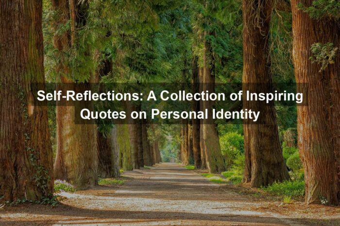 Self-Reflections: A Collection of Inspiring Quotes on Personal Identity