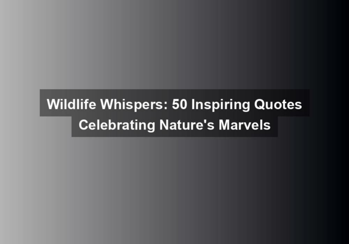 wildlife whispers 50 inspiring quotes celebrating natures marvels - Wildlife Whispers: 50 Inspiring Quotes Celebrating Nature's Marvels